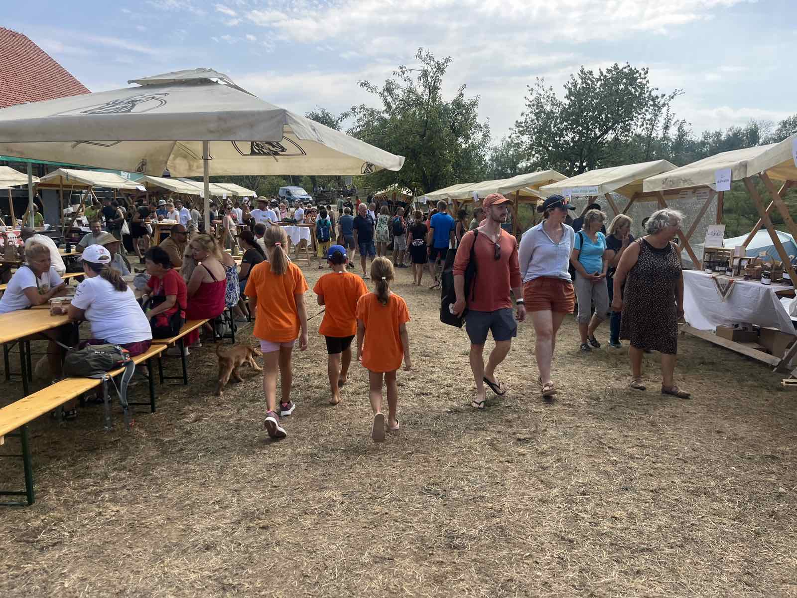 Festival divje hrane