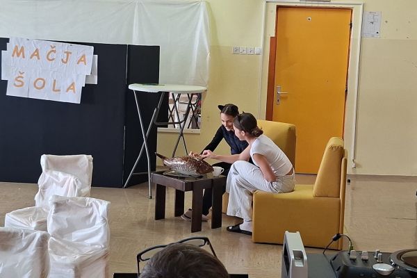 Pogovor o mačji šoli