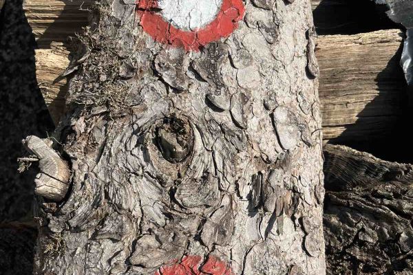 ŠVN, 3. razred na Lisci