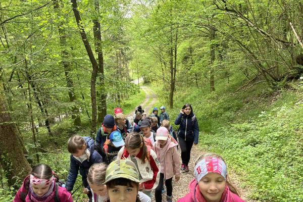 ŠVN, 3. razred na Lisci