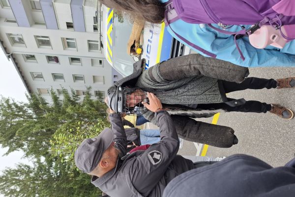 Oprema za delo in trening z belgijskimi ovčarji