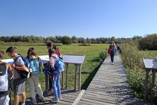 Sprehod po učni poti na barju